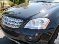Black - ML 350 4Matic Photo No. 5