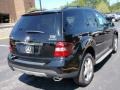 Black - ML 350 4Matic Photo No. 9