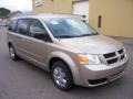 2009 Light Sandstone Metallic Dodge Grand Caravan SE  photo #7