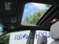 Carbon Gray - Elantra GLS Sedan Photo No. 27