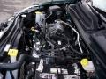 Melbourne Green Pearl - Grand Caravan SE Photo No. 12