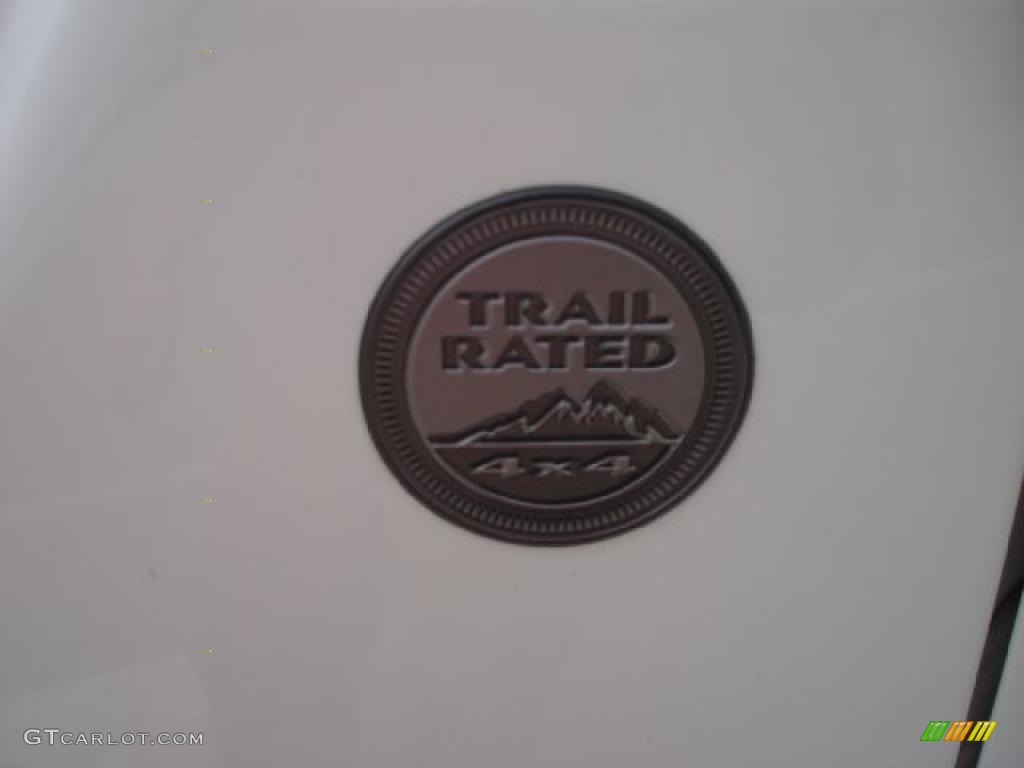 2004 Wrangler Rubicon 4x4 - Stone White / Dark Slate Gray photo #27