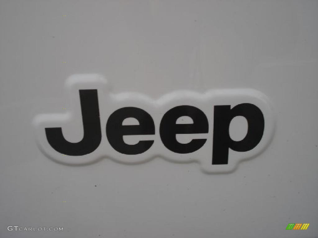 2004 Wrangler Rubicon 4x4 - Stone White / Dark Slate Gray photo #28