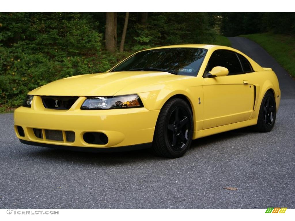 2003 Mustang Cobra Coupe - Zinc Yellow / Dark Charcoal photo #1