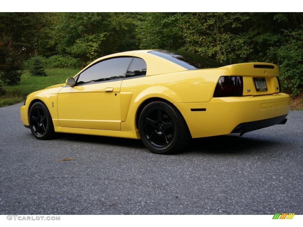2003 Mustang Cobra Coupe - Zinc Yellow / Dark Charcoal photo #2
