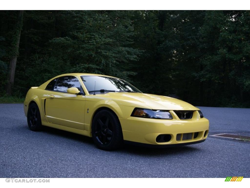2003 Mustang Cobra Coupe - Zinc Yellow / Dark Charcoal photo #4