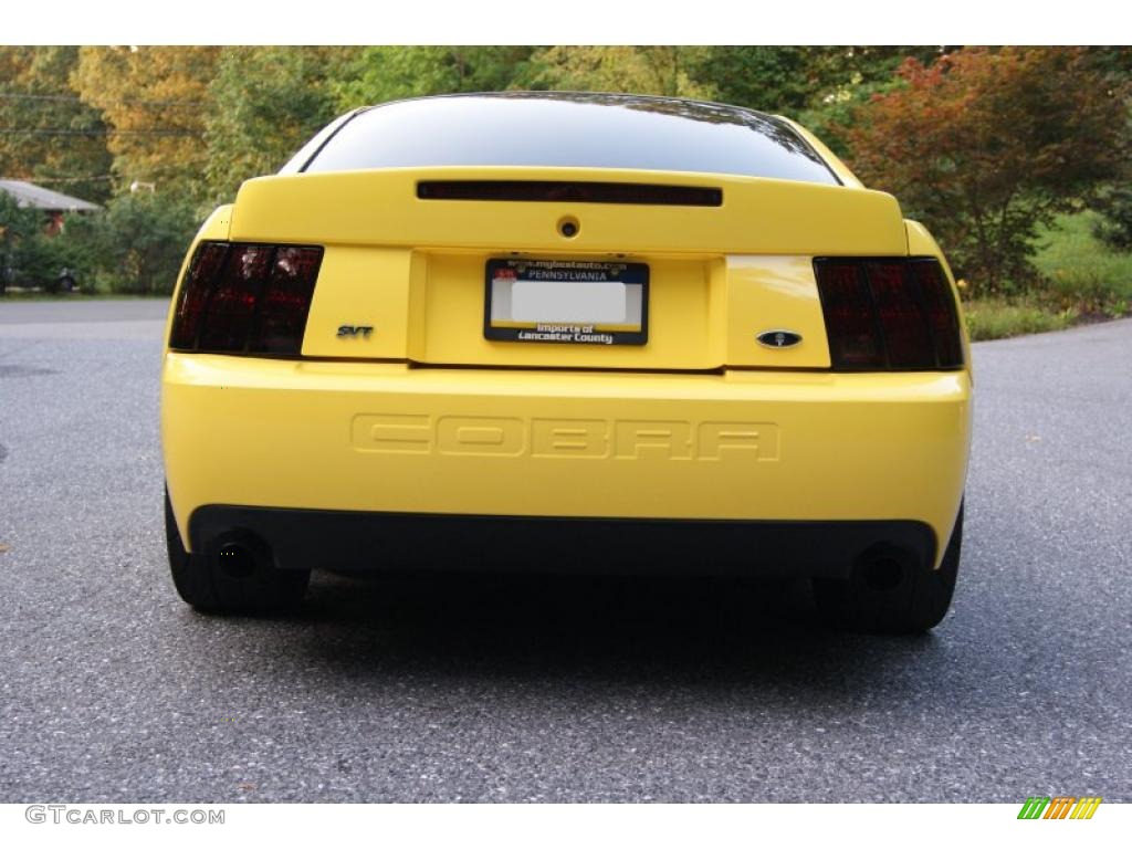 2003 Mustang Cobra Coupe - Zinc Yellow / Dark Charcoal photo #5