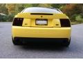 2003 Zinc Yellow Ford Mustang Cobra Coupe  photo #5