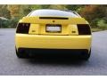 Zinc Yellow - Mustang Cobra Coupe Photo No. 5