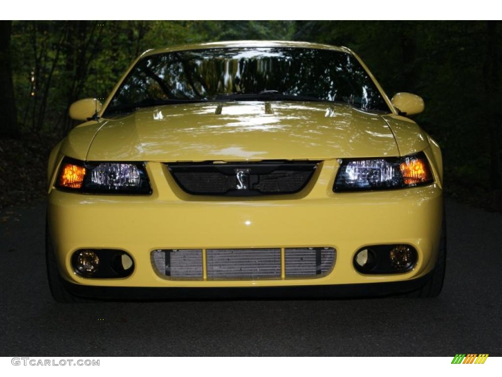 2003 Mustang Cobra Coupe - Zinc Yellow / Dark Charcoal photo #6