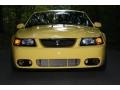 2003 Zinc Yellow Ford Mustang Cobra Coupe  photo #6