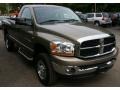 2006 Light Khaki Metallic Dodge Ram 2500 SLT Regular Cab 4x4  photo #12