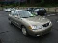 2002 Iced Cappuccino Nissan Sentra GXE  photo #10