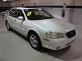 Icelandic Pearl - Maxima GLE Photo No. 4