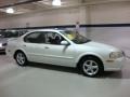 Icelandic Pearl - Maxima GLE Photo No. 6