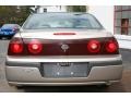 Sandrift Metallic - Impala  Photo No. 11