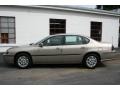 Sandrift Metallic - Impala  Photo No. 12