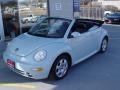 Campanella White - New Beetle GLS Convertible Photo No. 20