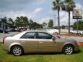 Sand Storm - CTS Sedan Photo No. 1