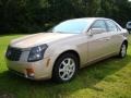 Sand Storm - CTS Sedan Photo No. 4