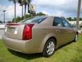 Sand Storm - CTS Sedan Photo No. 9