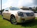 Sand Storm - CTS Sedan Photo No. 30