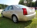 Sand Storm - CTS Sedan Photo No. 31