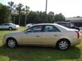 Sand Storm - CTS Sedan Photo No. 32