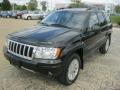 2004 Brillant Black Crystal Pearl Jeep Grand Cherokee Limited 4x4  photo #2