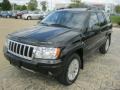 Brillant Black Crystal Pearl - Grand Cherokee Limited 4x4 Photo No. 2