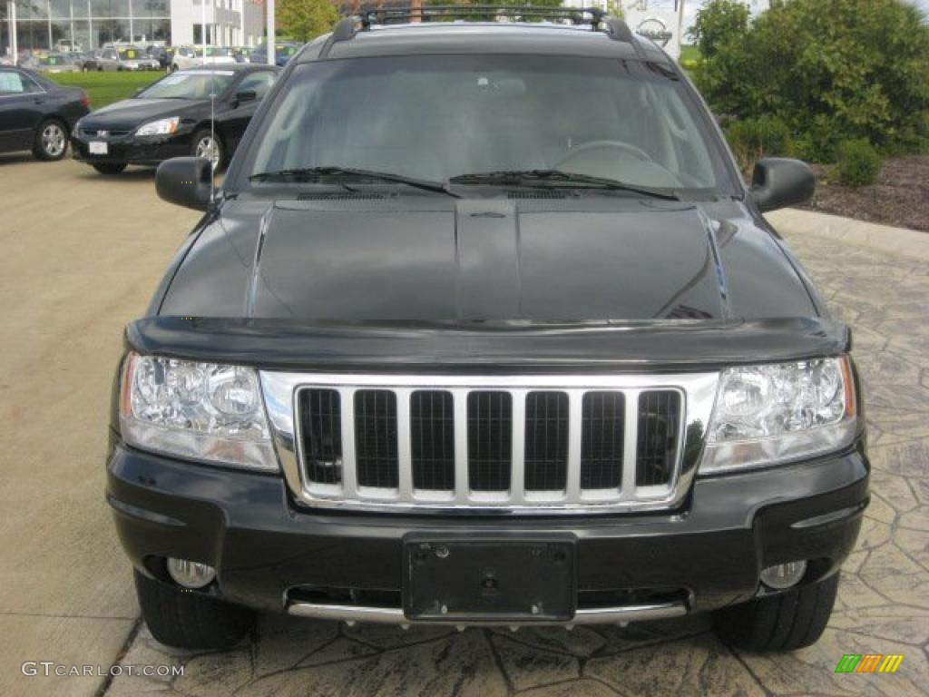 2004 Grand Cherokee Limited 4x4 - Brillant Black Crystal Pearl / Taupe photo #5