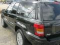 2004 Brillant Black Crystal Pearl Jeep Grand Cherokee Limited 4x4  photo #7