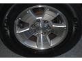 Titanium Metallic - 4Runner SR5 4x4 Photo No. 30