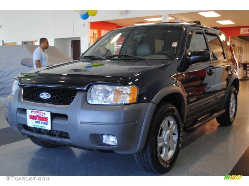 2002 Escape XLT V6 - True Blue Metallic / Medium Graphite photo #2