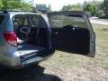 Everglade Metallic - RAV4 V6 4WD Photo No. 19