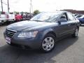 Willow Gray - Sonata GLS Photo No. 1