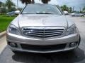 Pewter Metallic - C 300 Luxury Photo No. 3