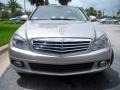 2008 Pewter Metallic Mercedes-Benz C 300 Luxury  photo #3