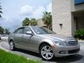 2008 Pewter Metallic Mercedes-Benz C 300 Luxury  photo #4