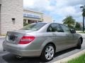 2008 Pewter Metallic Mercedes-Benz C 300 Luxury  photo #6