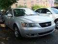 Steel Gray - Sonata LX V6 Photo No. 3