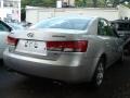 Steel Gray - Sonata LX V6 Photo No. 4