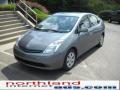 Tideland Gray Green Pearl - Prius Hybrid Photo No. 2