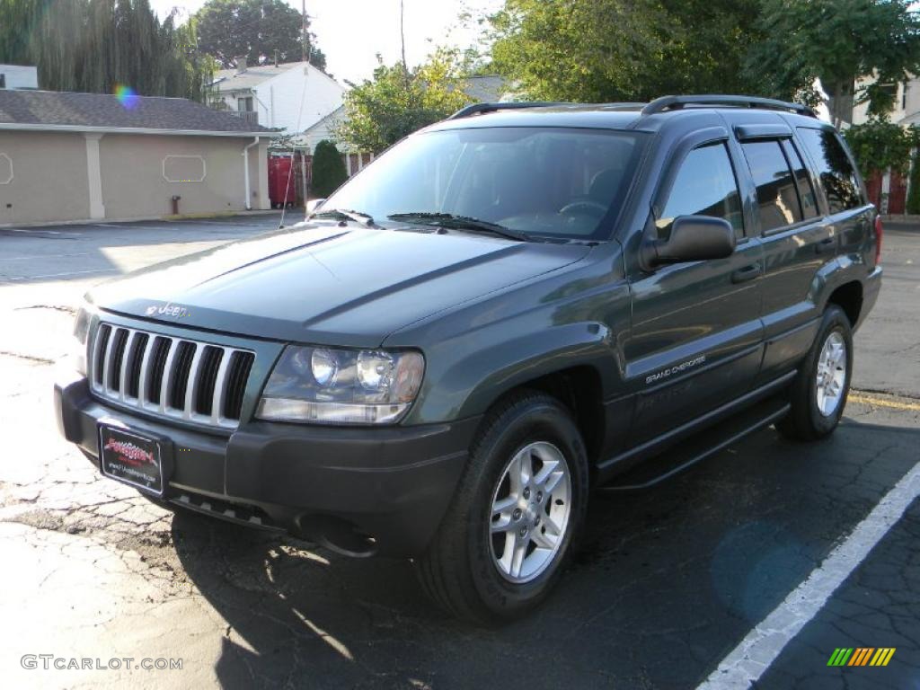 2004 Grand Cherokee Laredo 4x4 - Onyx Green Pearl / Dark Slate Gray photo #1