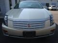 Light Platinum - CTS Sedan Photo No. 2