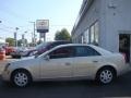 Light Platinum - CTS Sedan Photo No. 3