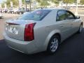 Light Platinum - CTS Sedan Photo No. 6