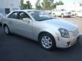 Light Platinum - CTS Sedan Photo No. 7