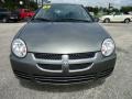 Mineral Gray Metallic - Neon SXT Photo No. 22