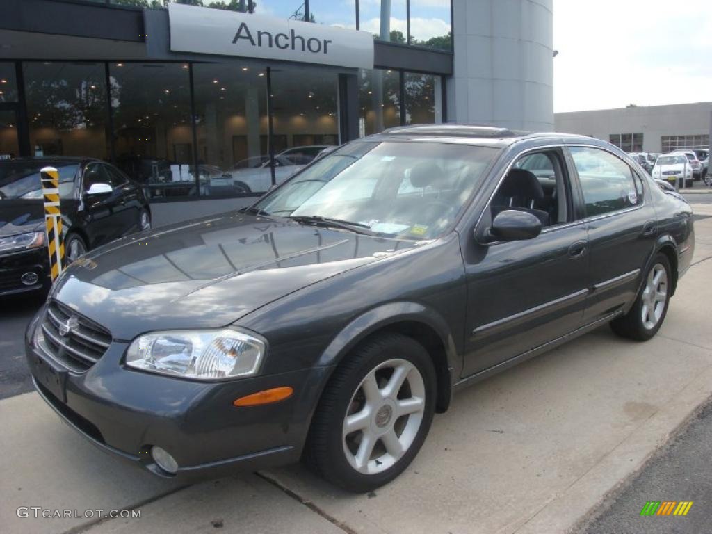 Gray Lustre Metallic Nissan Maxima